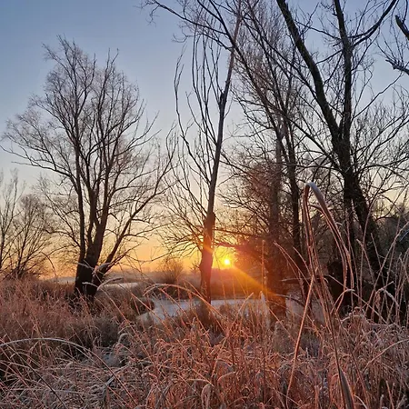Helles Tiny House Im Gruenen 402 Dom wakacyjny